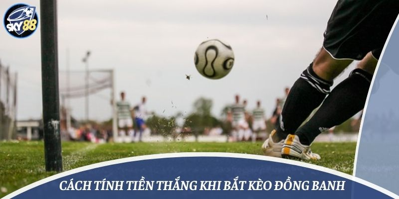 tính tiền kèo đồng banh