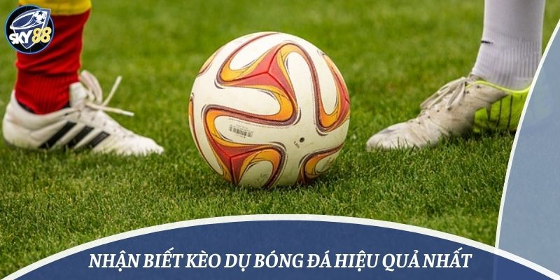 Nhận biết kèo dụ bóng đá hiệu quả nhất