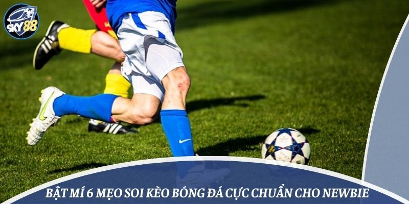 Bật Mí 6 Mẹo Soi Kèo Bóng Đá Cực Chuẩn Cho Newbie