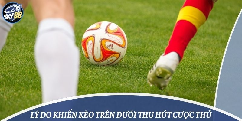 Lý do khiến kèo trên dưới thu hút cược thủ